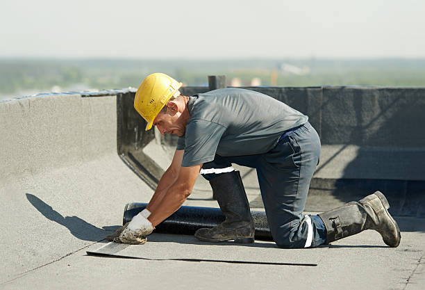 Best Insulation Installation Services in Pinetop Country Clu, AZ
